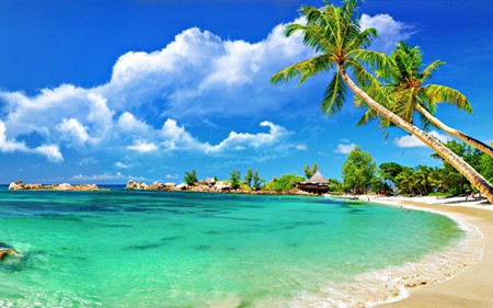 Phu Quoc island- a popular destination in summer - ảnh 1